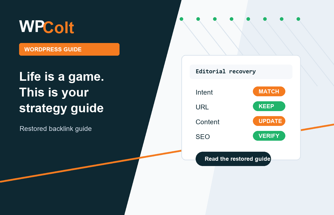 Life is a game. This is your strategy guide - WPColt updated guide illustration