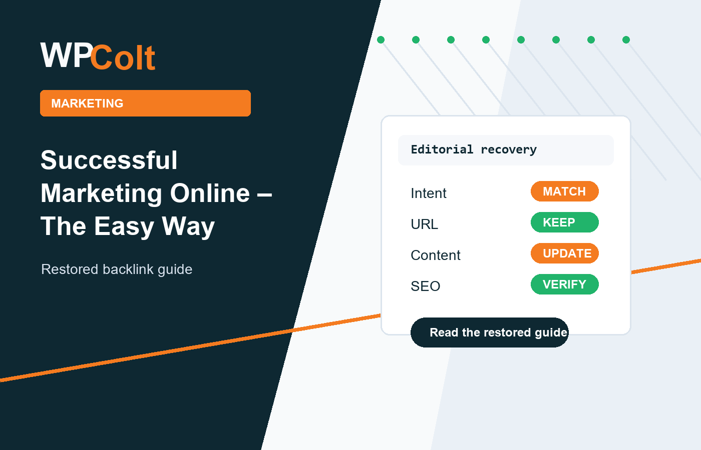 Successful Marketing Online – The Easy Way - WPColt updated guide illustration